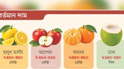 এখন একটি মাল্টা ১০০ টাকা, একটি ডাব ১৫০-২২০,  কেন এত দাম