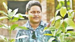 যেখানেই যান, একটি গাছ থাকে সঙ্গে