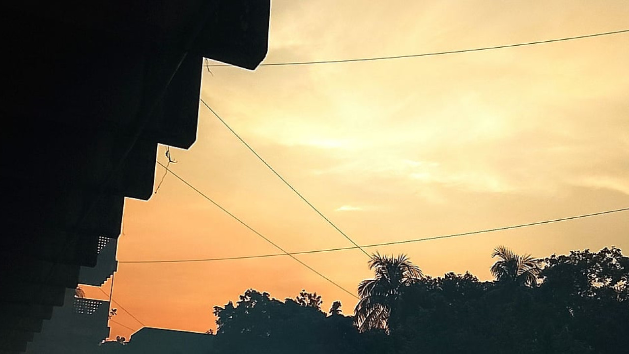 পাঠকের ছবি (২০ সেপ্টেম্বর ২০২৬)